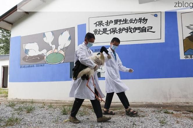 当涂：长江之畔的防疫坚守与地理屏障解析