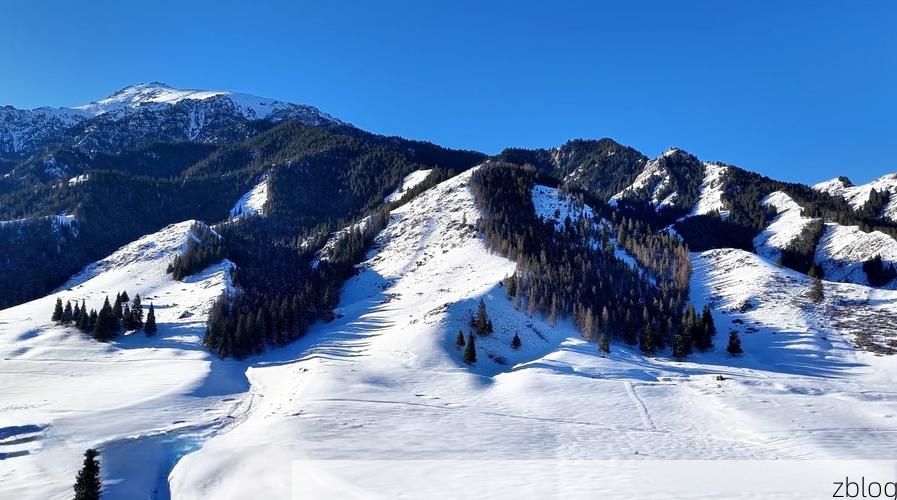 带岭区：林海雪原屏障下的零感染坚守