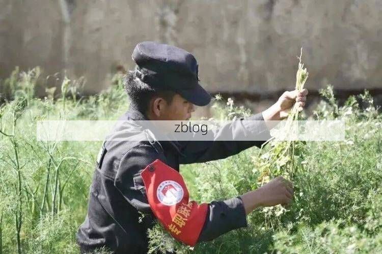 彝良：乌蒙山褶皱间的防疫坚守与破防时刻