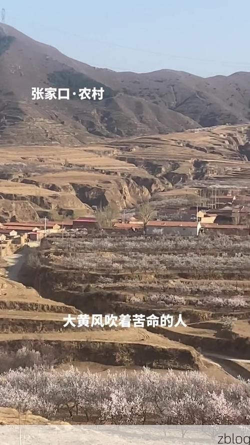 会宁：黄土高原沟壑间的疫情防线与破防时刻