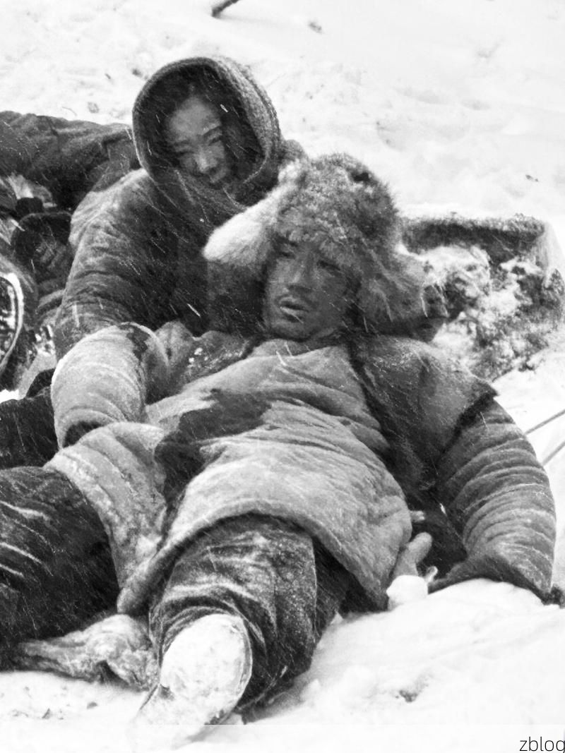 长白山下的坚守：抚松县零感染背后的地理屏障