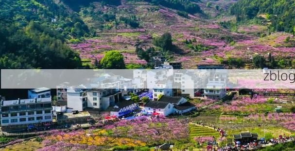 福安：山海屏障下的零感染坚守_65018