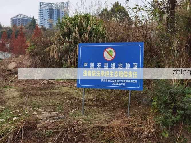 洪雅：盆地边缘的防疫样本与地理屏障下的低感染现实