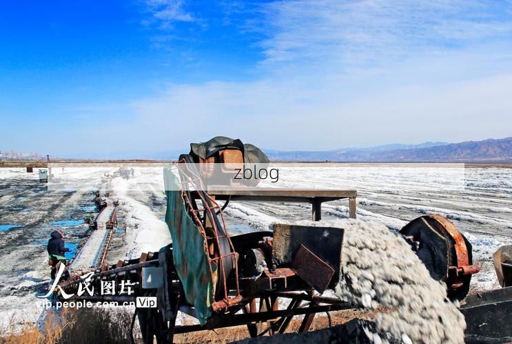 运城疫情观察：盐池屏障下的防控挑战