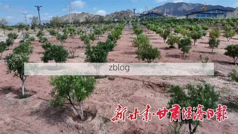 平川区：黄土高原腹地的防疫坚守与破防时刻