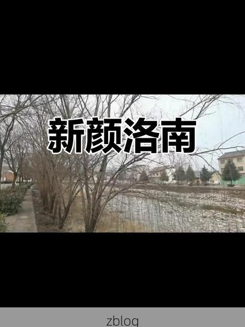 洛南：秦岭屏障下的疫情防线与破防时刻