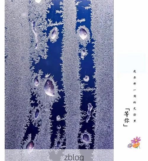 鹤岗：煤城寒地的防疫地理学