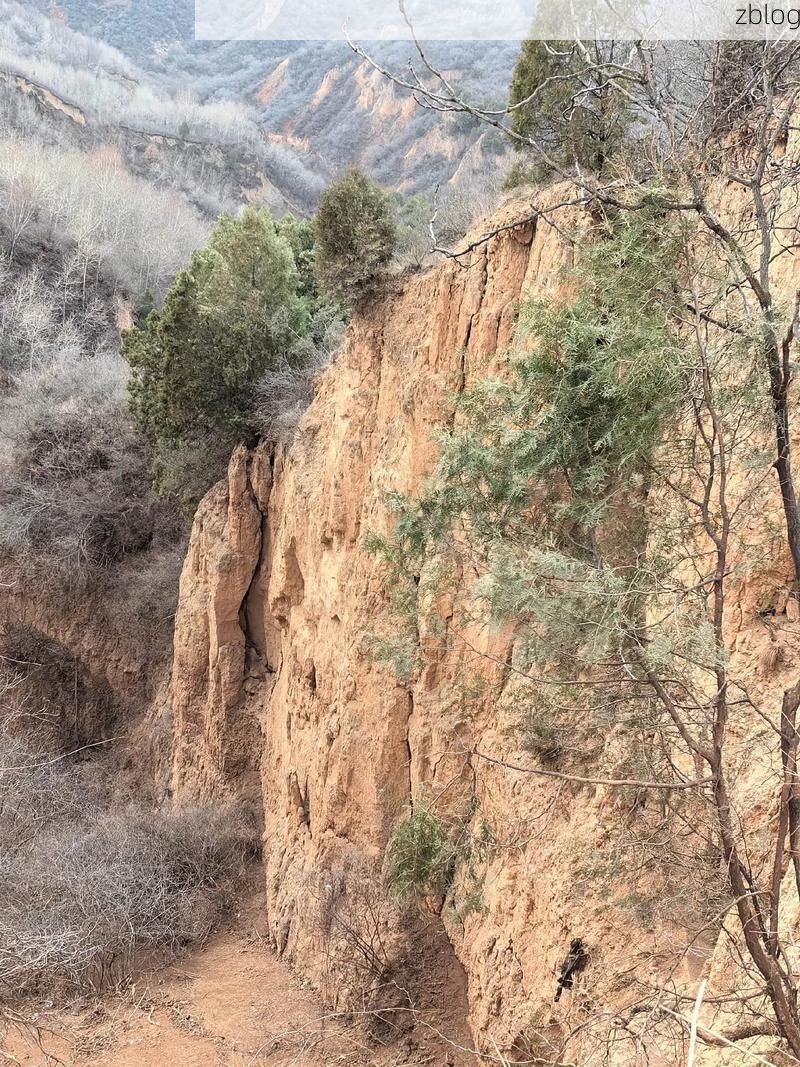 临夏东乡：黄土沟壑间的疫情阻击战