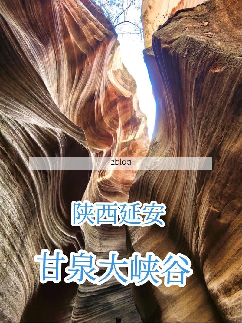 甘泉县疫情观察：黄土高原沟壑区如何构筑零感染防线？