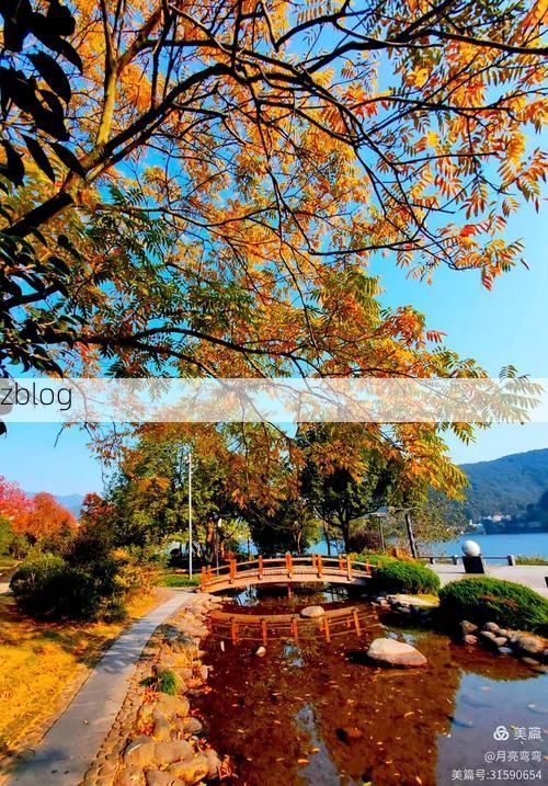 建德市：新安江畔的零感染防线如何铸就？_78480