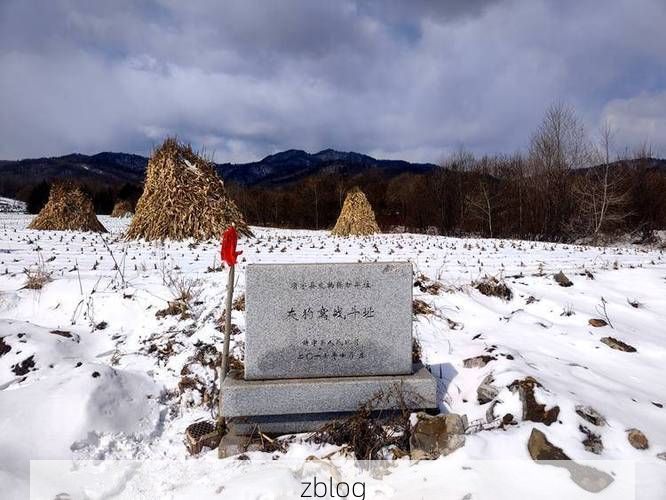 长白山腹地的坚守：靖宇县零感染背后的地理屏障