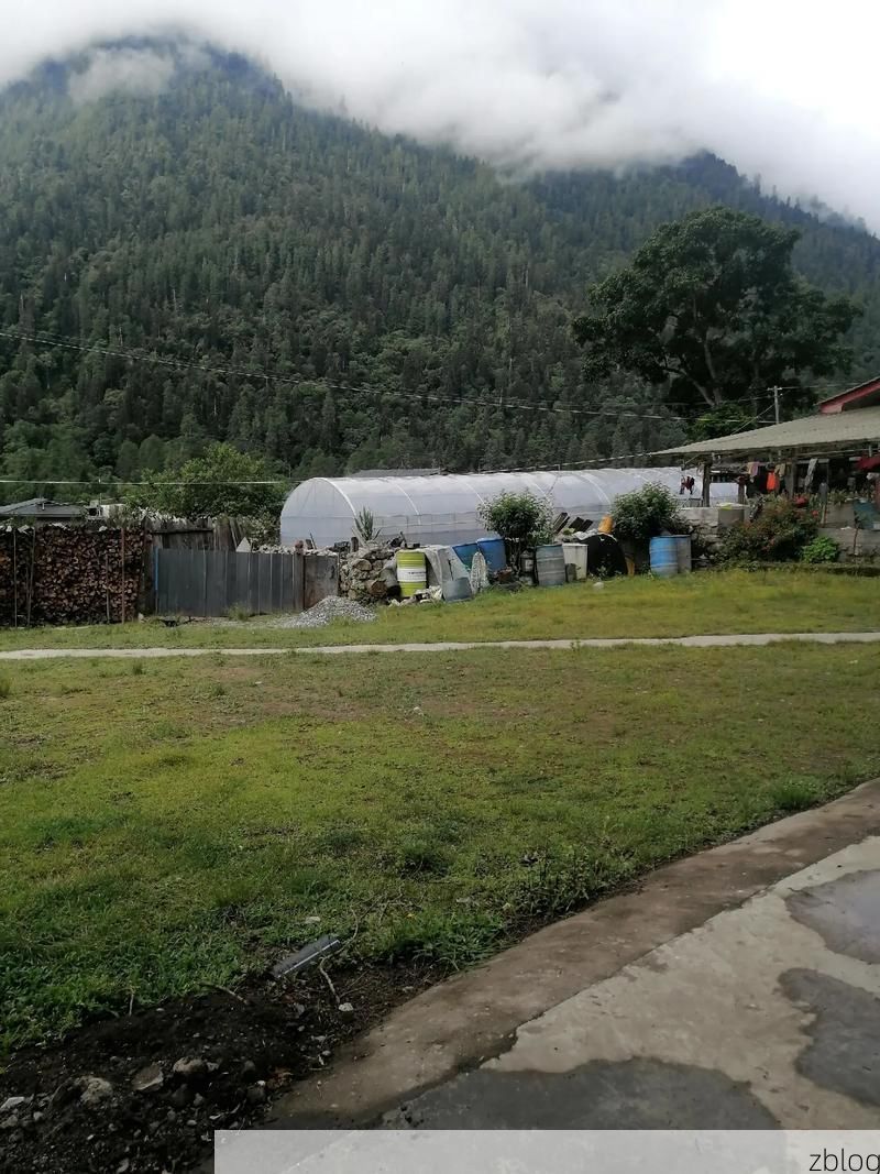 【2022年8月15日察隅新增确诊病例情况_28681】