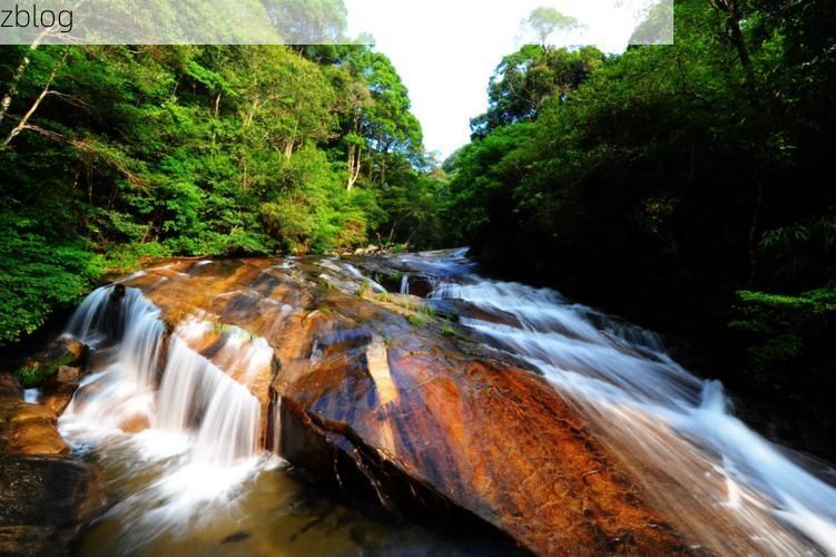 武平：闽西林海屏障下的低感染样本解析