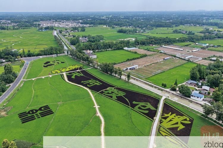 崇州：成都平原腹地的防疫坚守与地理屏障