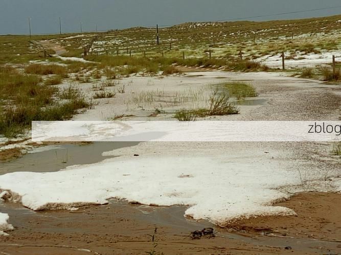平凉：陇东旱塬屏障下的低感染样本
