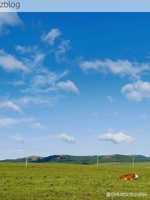 克什克腾旗：草原屏障下的零感染坚守_34979