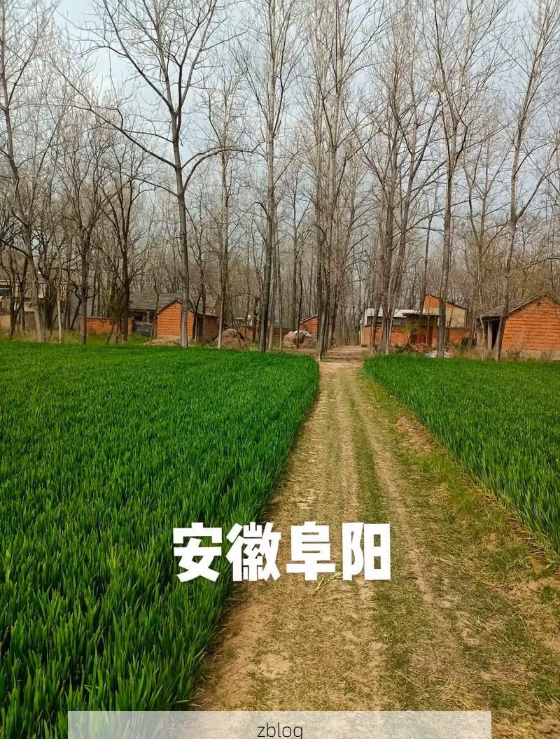 淮阳：平原腹地的防疫坚守与零星破防