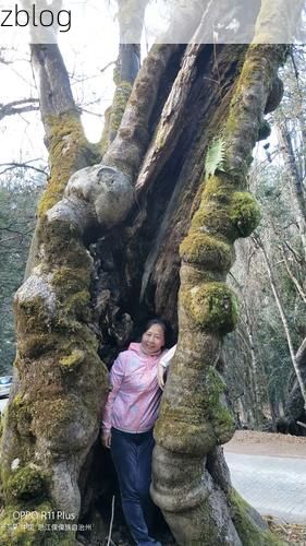 2022年11月25日兰坪新增确诊病例情况_60124