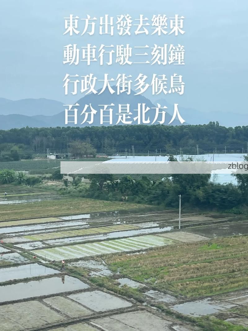 乐东：热带海岸线上的防疫坚守与挑战