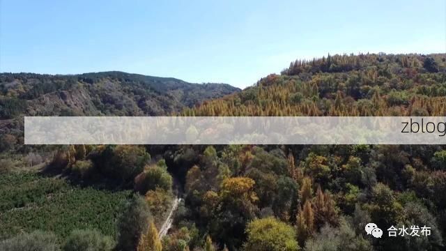 合水县域防疫观察：黄土高原沟壑区如何构筑疫情防线