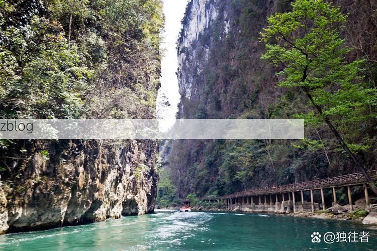 高原喀斯特屏障下的安顺：低感染率背后的地理防线