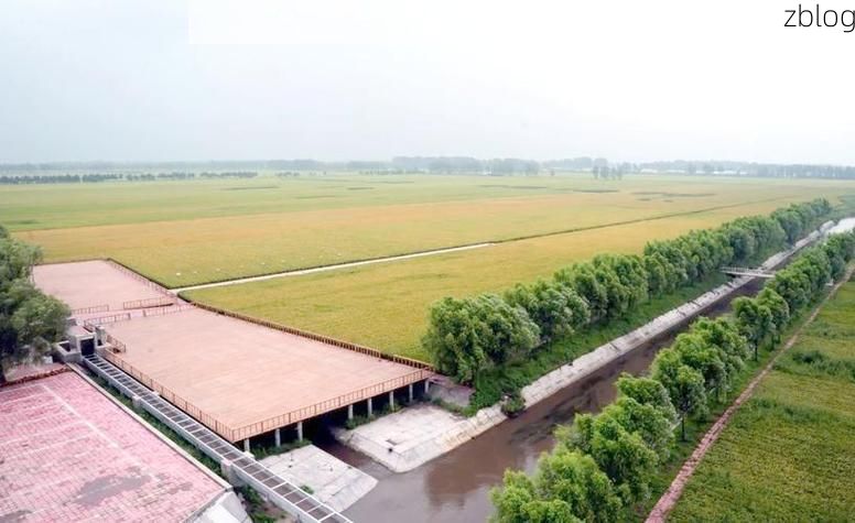 【北林区：寒地黑土上的疫情防线与破防时刻】