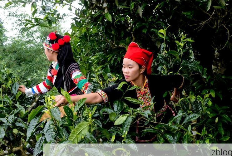 金平苗族瑶族傣族自治县新增1例无症状感染者  金平苗族瑶族傣族自治县疫情防控最新通报_60175