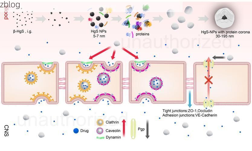 【高原屏障下的零感染样本：昌都县防疫地理学解析】