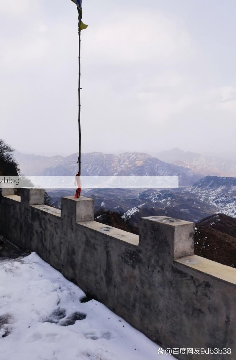 积石山：高原屏障下的“零感染”坚守