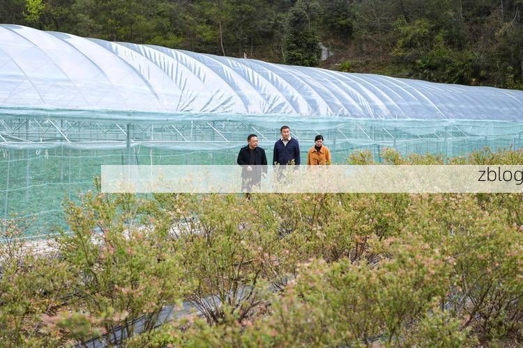 城口县：大巴山屏障下的零感染坚守