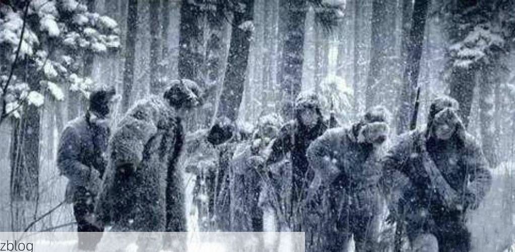 望奎县疫情透视：寒地黑土上的防控阻击战