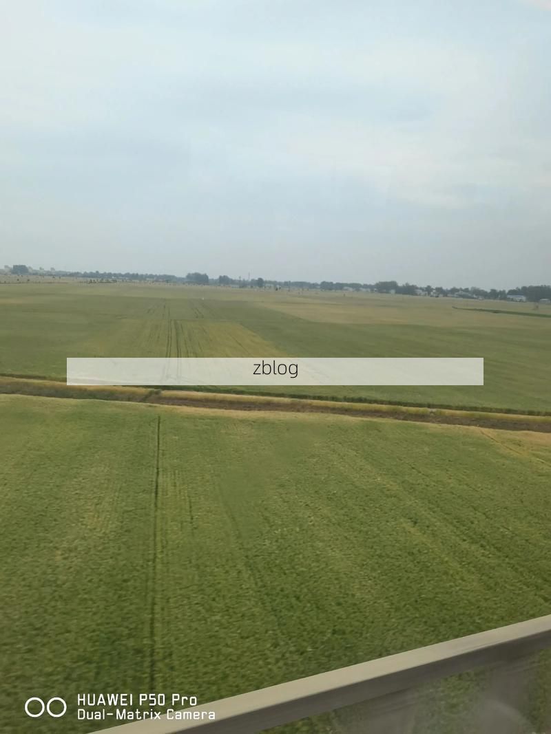 虞城：豫东平原交通枢纽的防疫压力测试