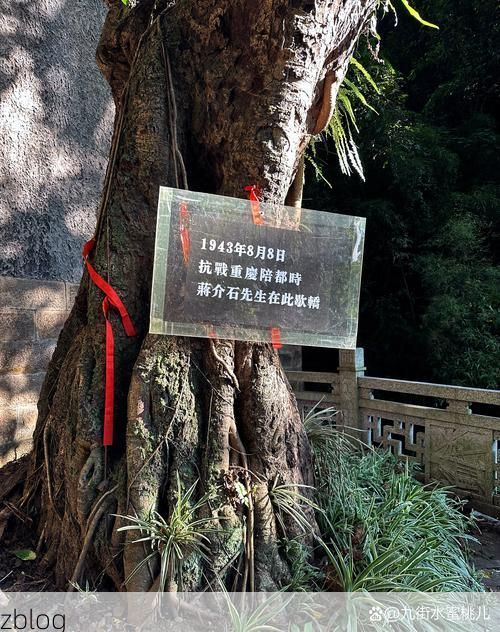 桂东县：湘南高岭屏障下的零感染坚守