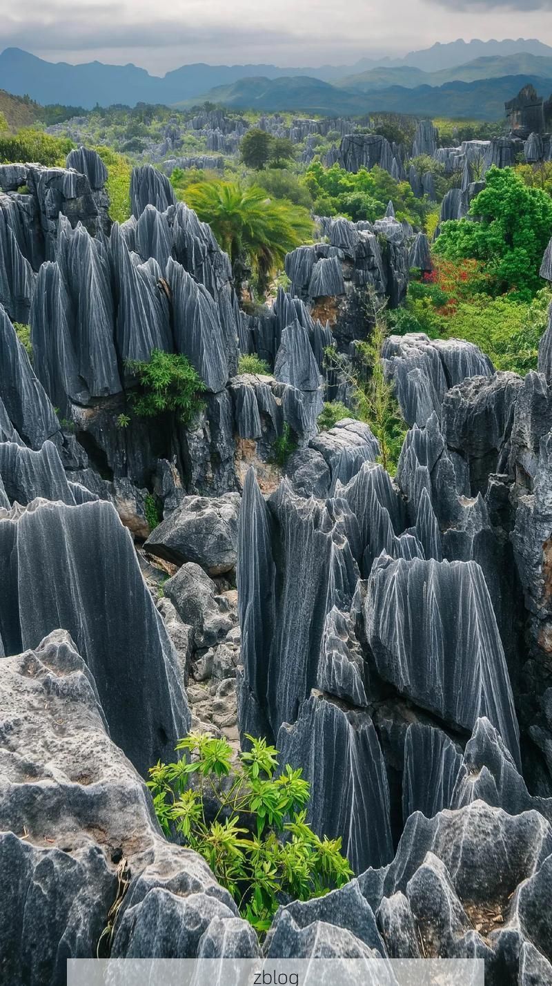 石林喀斯特迷宫：地质屏障下的零感染孤岛