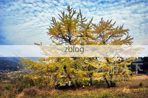 普洱边城：低纬度雨林气候下的疫情低发区观察