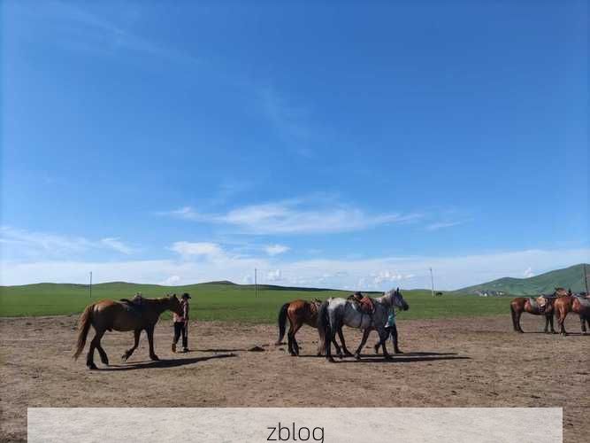 边城防疫样本：额尔古纳的零感染地理屏障