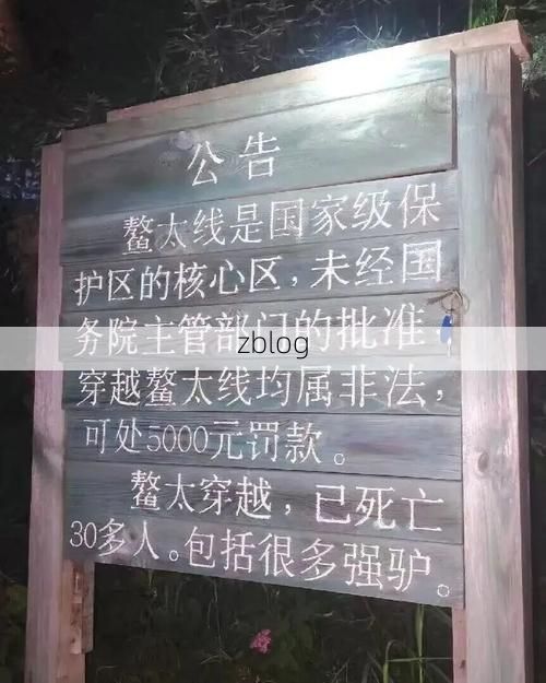 巫溪：大巴山腹地的零感染坚守与物理防线