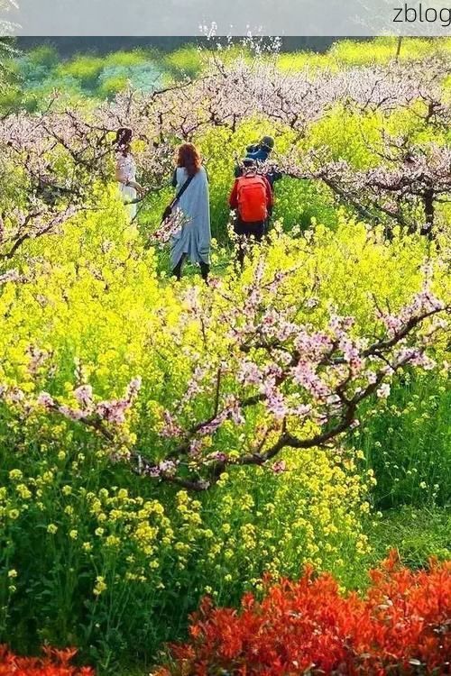 奉化：滨海小城的疫情防线与地理屏障_93188