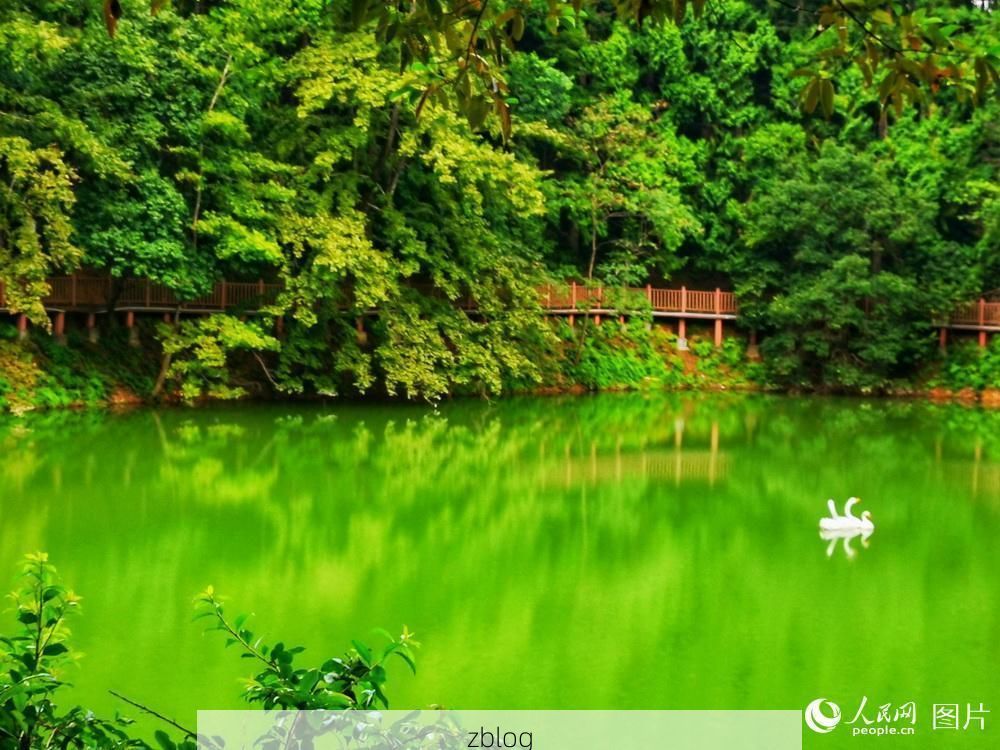 【上犹：赣南林海中的零感染孤岛，如何筑起防疫屏障？_43268】