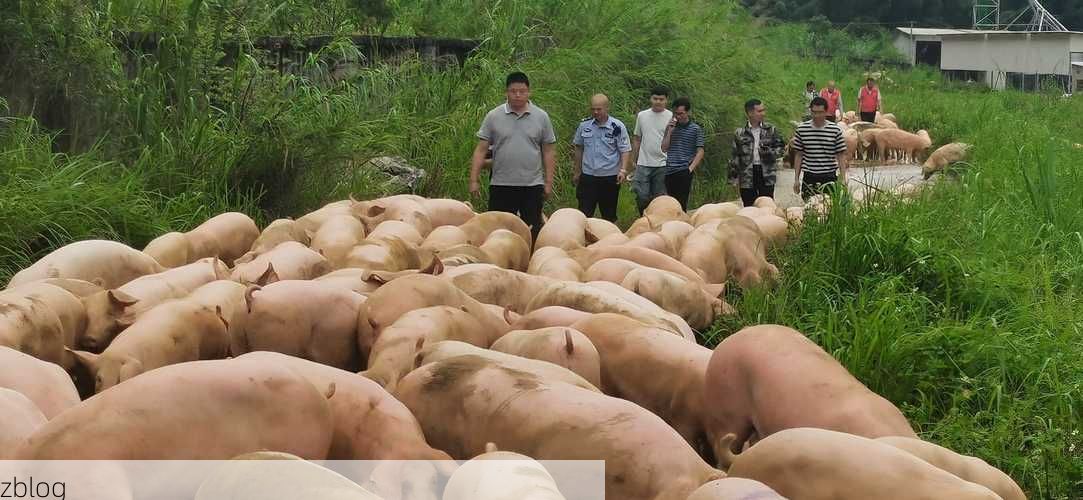 东兰新增1例无症状感染者  东兰县疫情防控最新通报_90819