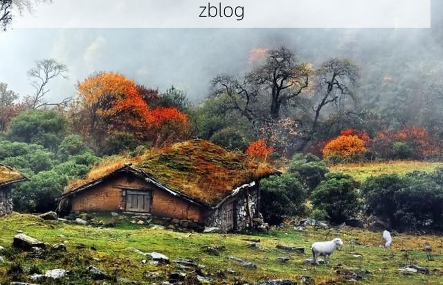 喜德：大凉山腹地的防疫坚守与地理屏障下的零感染记录