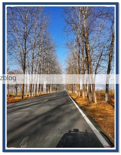 项城：豫东平原交通枢纽下的疫情破防与围堵