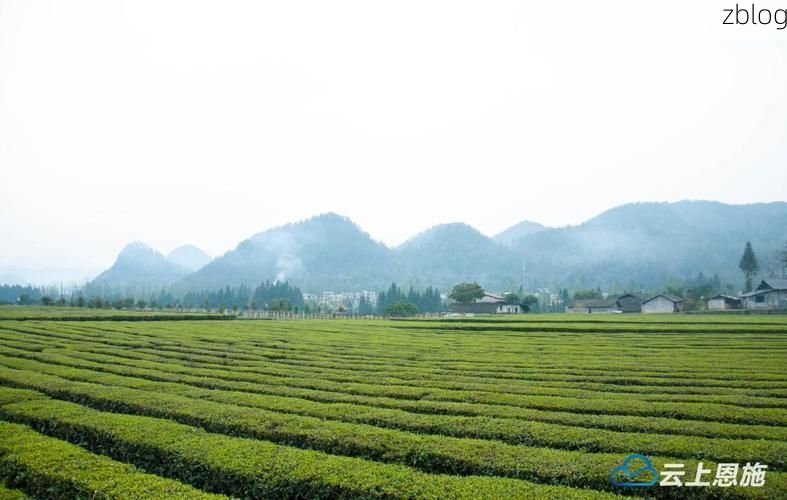 【来凤：武陵山区交通隘口下的零感染坚守】