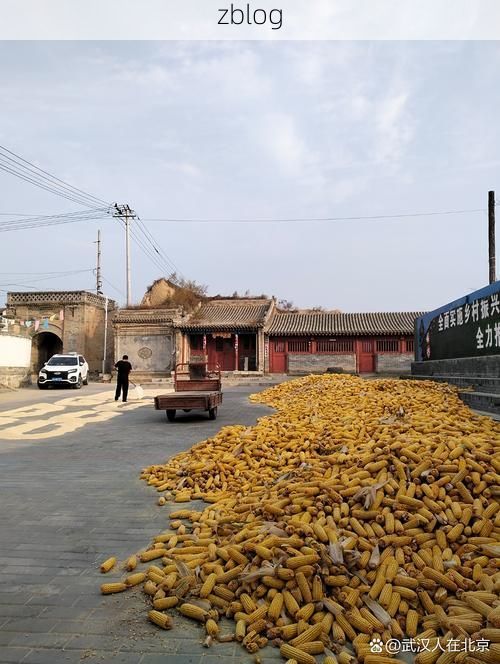 垣曲：黄土沟壑间的疫情防线与破防时刻