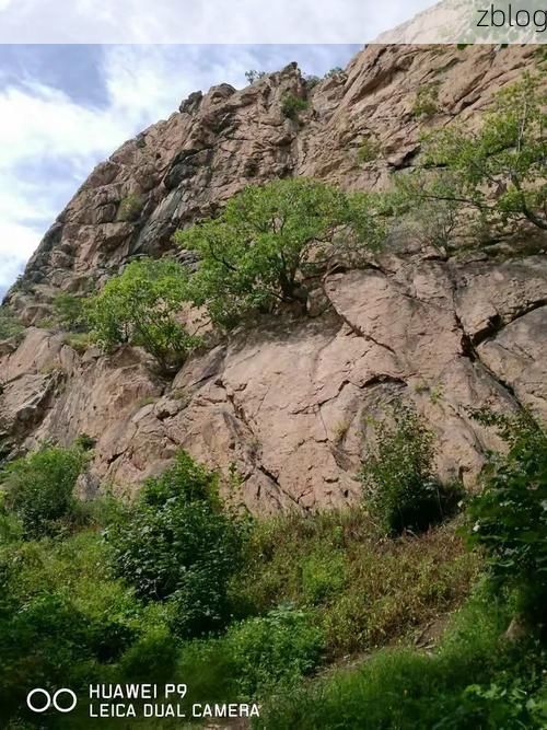 长岭县：松嫩平原腹地的零感染坚守_97053