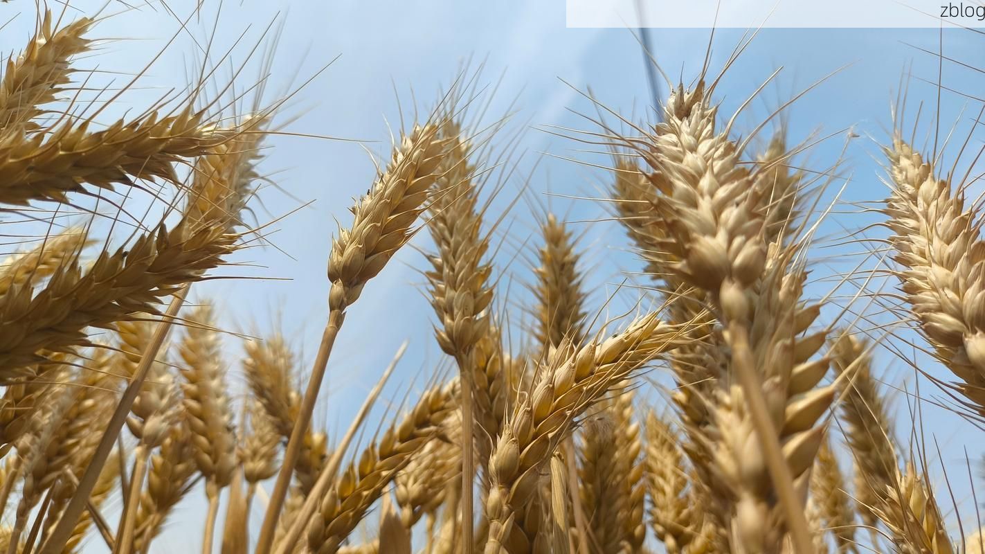 浚县：豫北平原粮仓的疫情防线与破防时刻