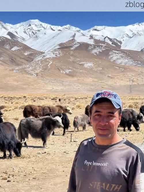 高原屏障下的零感染坚守：解码玛多县防疫物理防线