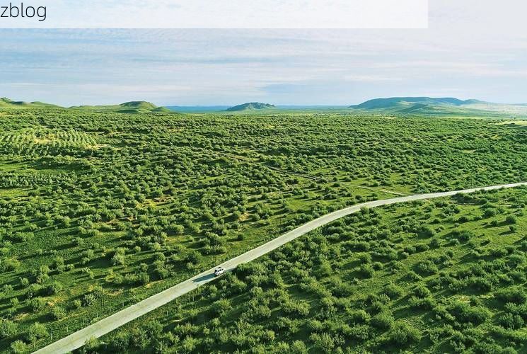 【正蓝旗：草原腹地的零感染坚守与物理防线】