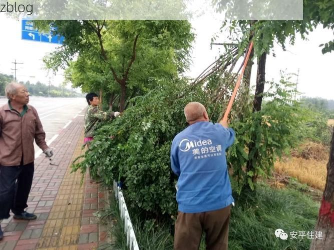 安平县新增1例无症状感染者  安平县疫情防控最新通报_28252