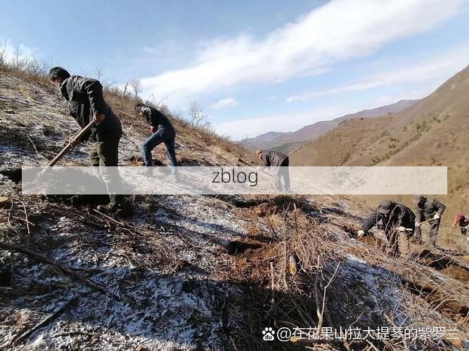 志丹：黄土高原沟壑间的防疫坚守与破防时刻